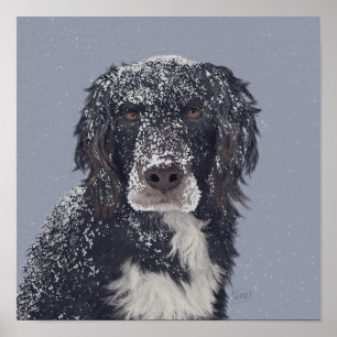 Poster Portrait de chien croisé Spaniel