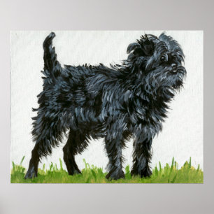 Poster Portrait de chien d'Affenpinscher