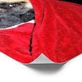 Poster Portrait de chien dans une couverture rouge (Coin)