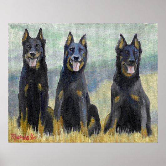 Poster Portrait de chien de Beauceron (Devant)