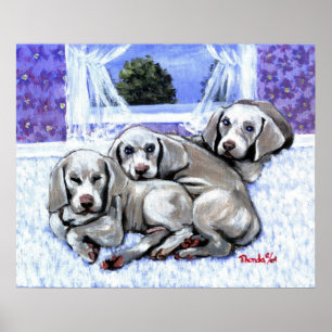 Poster Portrait de chien de chiots de Weimaraner