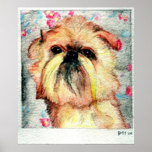 Poster Portrait de chien de griffon de Bruxelles