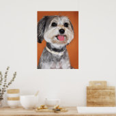 Poster Portrait de chien Havanais (Cuisine)
