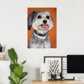 Poster Portrait de chien Havanais (Bureau à domicile)