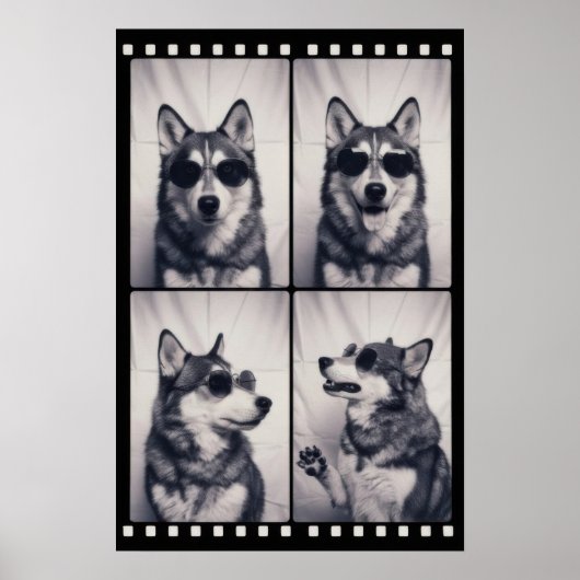 Poster Portrait de chien Husky (Devant)
