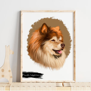 Poster Portrait de chien lapon finlandais   Mur Portrait 
