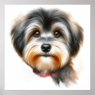 Poster Portrait de chien mignon Havanais en aquarelle