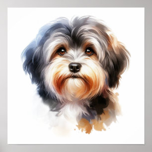 Poster Portrait de chien mignon Havanais en aquarelle
