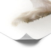 Poster Portrait de chien Papillon (Coin)