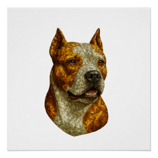 Poster Portrait de chien Pitbull