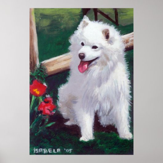 Poster Portrait de Chien Spitz japonais (Devant)