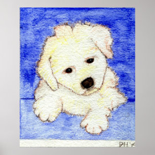 Poster Portrait de chiot de Bichon Frise
