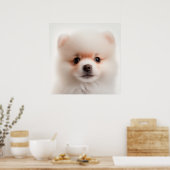Poster Portrait de chiot Pomeranian mignon (Cuisine)