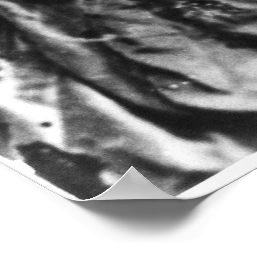 Poster Portrait de Clara Barton (Coin)