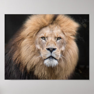 Poster Portrait de Closeup