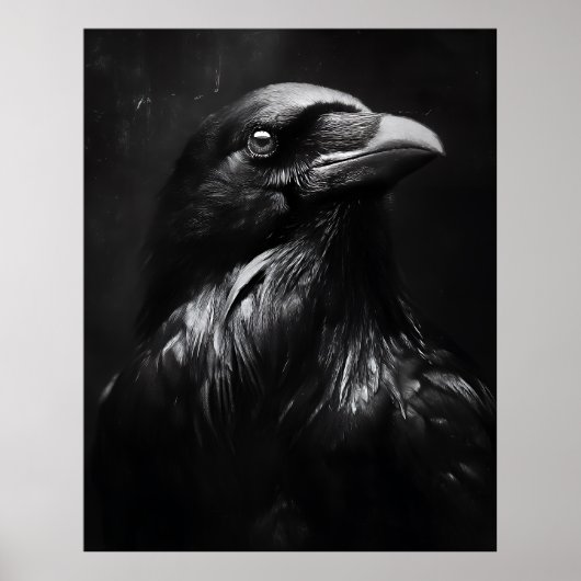 Poster Portrait de corbeau monochrome (Devant)