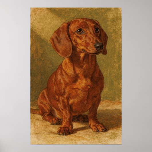 Poster Portrait de Dachshund au ton ocre chaud (Devant)