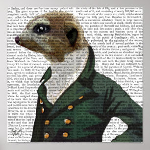 Poster Portrait de Dandy Meerkat