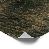 Poster Portrait de Dedie Hayden, 1918 (Coin)