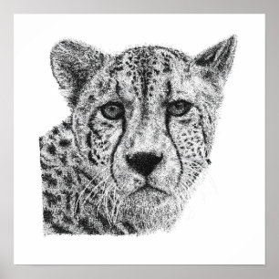 Poster Portrait de faune de guépard dessiné à la main en