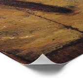 Poster Portrait de Fayum d'une femme (Coin)