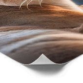 Poster Portrait de fermeture d'un Cougar (Coin)