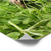 Poster Portrait de fond dans un journal creux (Coin)