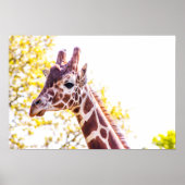 Poster Portrait de Giraffe (Devant)