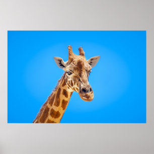 Poster Portrait de Giraffe contre le ciel