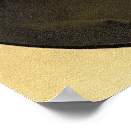 Poster Portrait de Giuseppe Garibaldi (Coin)