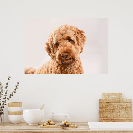 Poster Portrait de Goldendoodle Studio (Cuisine)