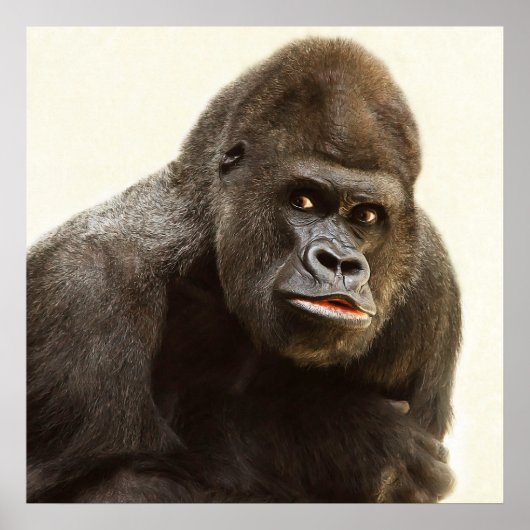 Poster Portrait de gorille de Silverback (Devant)