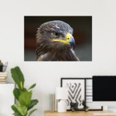 Poster Portrait de gros plan Steppe Eagle (Bureau à domicile)