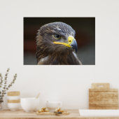 Poster Portrait de gros plan Steppe Eagle (Cuisine)