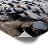 Poster Portrait de hibou sur l'arrière - plan forestier d (Coin)