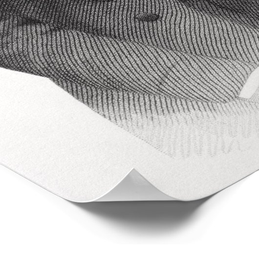 Poster Portrait de Jefferson Davis (Coin)