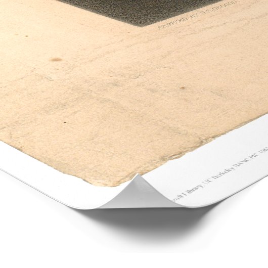 Poster Portrait de John Sutter (1679A) - Non restauré (Coin)