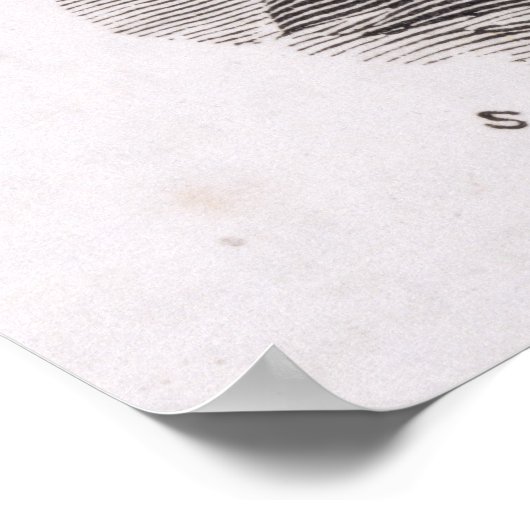 Poster Portrait de John Winthrop (Coin)