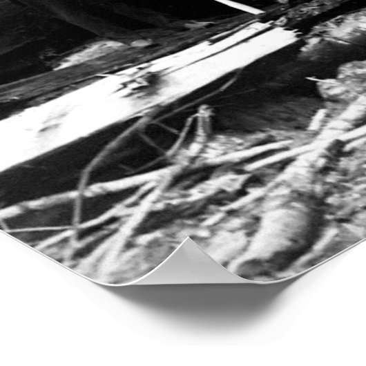 Poster PORTRAIT DE JOURNAL DE SEQUOIE GÉANT c. 1890 (Coin)