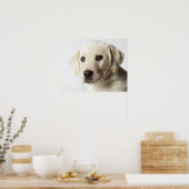 Poster Portrait de la marionnette blonde Labrador Retriev (Cuisine)