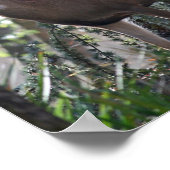 Poster "Portrait de la paix" (Coin)