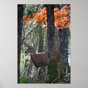 Poster "Portrait de la paix"