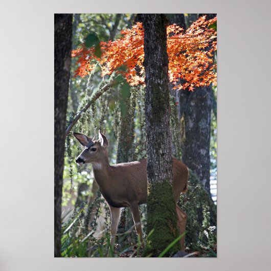 Poster "Portrait de la paix" (Devant)