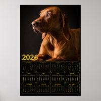 Portrait de Labrador Retriever avec calendrier 202