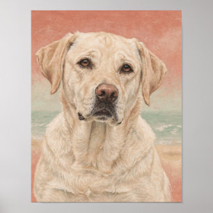 Poster Portrait de Labrador Retriever jaune en corail et