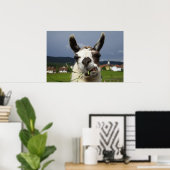 Poster Portrait de lama le plus frais (Bureau à domicile)
