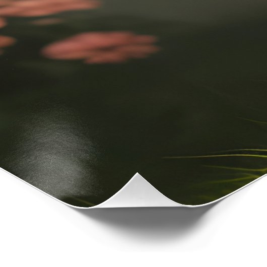 Poster Portrait de lapin mignon (Coin)