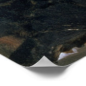 Poster Portrait de l'artiste Isaak Ilyich Levitan (Coin)