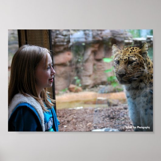 Poster Portrait de léopard et d'enfant (Devant)