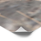 Poster Portrait de Lion (Coin)